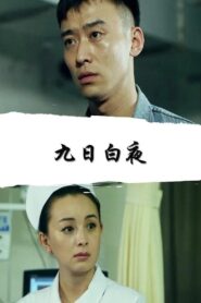 九日白夜 2017 on netflix