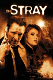 The Stray 2000 on netflix