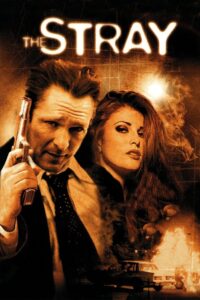 The Stray 2000 on netflix