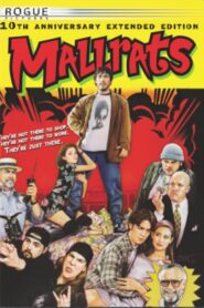 Erection of an Epic – The Making of Mallrats 2005 on netflix