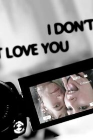 I Don’t Love You 2012 on netflix