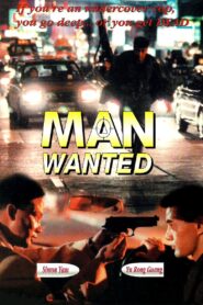 Man Wanted 1995 on netflix