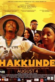 Hakkunde 2017 on netflix