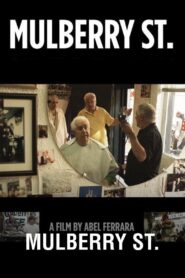 Mulberry St. 2010 on netflix