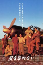 Fly Boys, Fly! 1995 on netflix