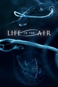 Life in the Air 2016 on netflix