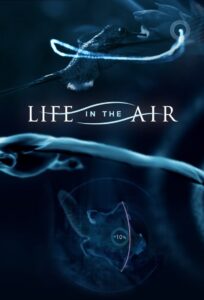 Life in the Air 2016 on netflix