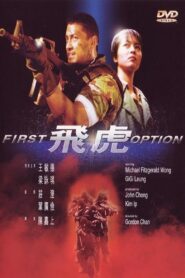 First Option 1996 on netflix