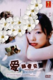 Ai wa mieru: Zenmô fûfu ni yadotta chiisana inochi 2010 on netflix