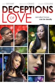 Deceptions of Love 2013 on netflix