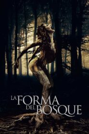 The Shape of the Woods 2021 on netflix