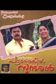 Pattanathil Sundaran 2003 on netflix