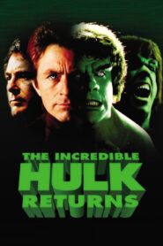 The Incredible Hulk Returns 1988 on netflix