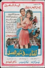 Meeting on the honeymoon 1987 on netflix