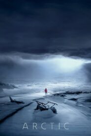 Arctic 2018 on netflix