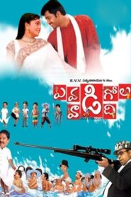 Evadi Gola Vadide 2005 on netflix