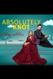 Absolutely Knot 2021 on netflix