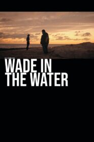 Wade in the Water 2019 on netflix