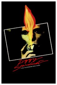 Ziggy Stardust and the Spiders from Mars 1983 on netflix