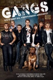 Gangs 2009 on netflix