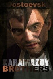 The Karamazov Brothers 2008 on netflix