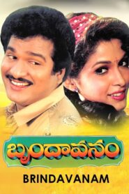 Brindavanam 1992 on netflix