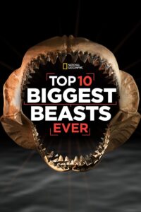 Top 10 Biggest Beasts Ever 2015 on netflix