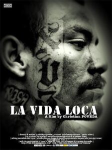 The Crazy Life 2008 on netflix