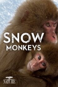 Wild Japan: Snow Monkeys 2014 on netflix