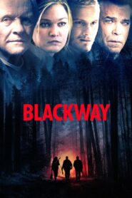 Blackway 2015 on netflix