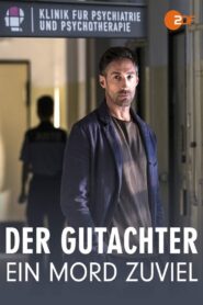 Der Gutachter: Ein Mord zu viel 2017 on netflix