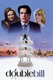 A Tale of Two Wives 2003 on netflix