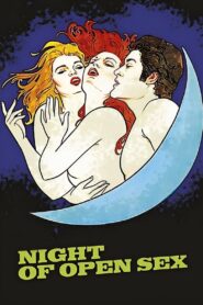 The Night Of Open Sex 1983 on netflix