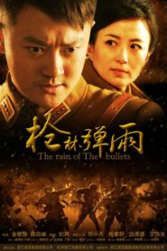 枪林弹雨 2012 on netflix