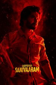 Saripodhaa Sanivaaram 2024 on netflix
