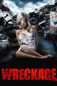 Wreckage 2010 on netflix