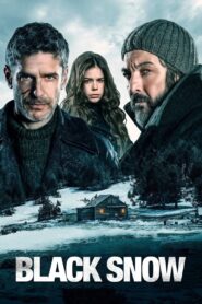 Black Snow 2017 on netflix