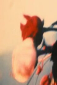 Fisherman 1998 on netflix
