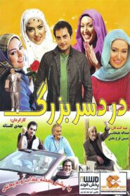 The Big Trouble 2010 on netflix