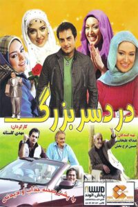 The Big Trouble 2010 on netflix