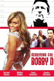 Searching for Bobby D 2005 on netflix