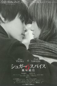 Sugar & Spice 2006 on netflix