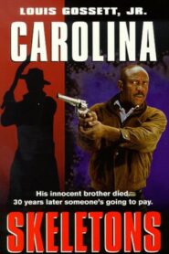 Carolina Skeletons 1991 on netflix