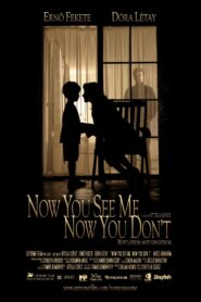 Now You See Me, Now You Don’t 2005 on netflix