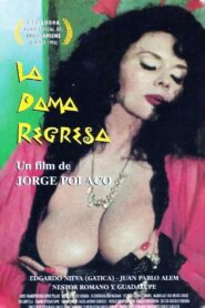 The Lady Is Back 1996 on netflix
