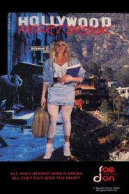 Hollywood Heartbreak 1988 on netflix