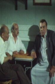 A Long Term Plan 1988 on netflix