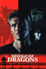 Bridge of Dragons 1999 on netflix