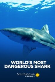 World’s Most Dangerous Shark 2020 on netflix