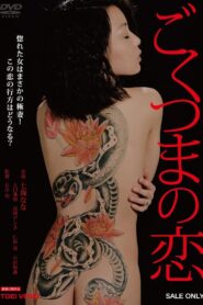 The Love of a Very Ordinary Wife 2013 on netflix